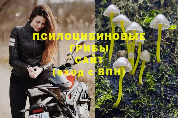 дживик Горно-Алтайск