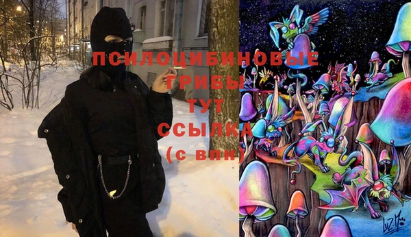дживик Горно-Алтайск