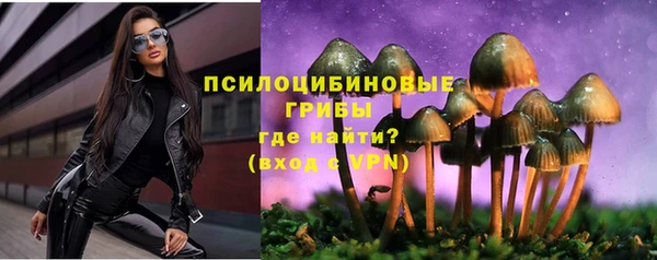 дживик Горно-Алтайск