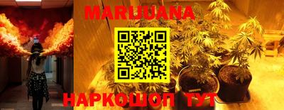 индика Будённовск