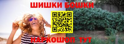 индика Будённовск