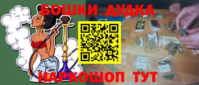 индика Будённовск