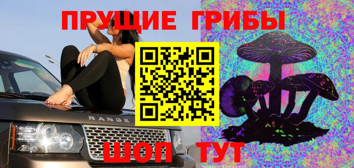 Галлюциногенные грибы GOLDEN TEACHER Москва