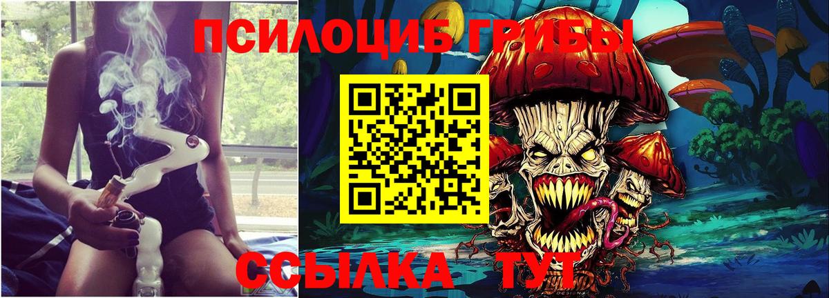 Псилоцибиновые грибы прущие грибы  Москва 